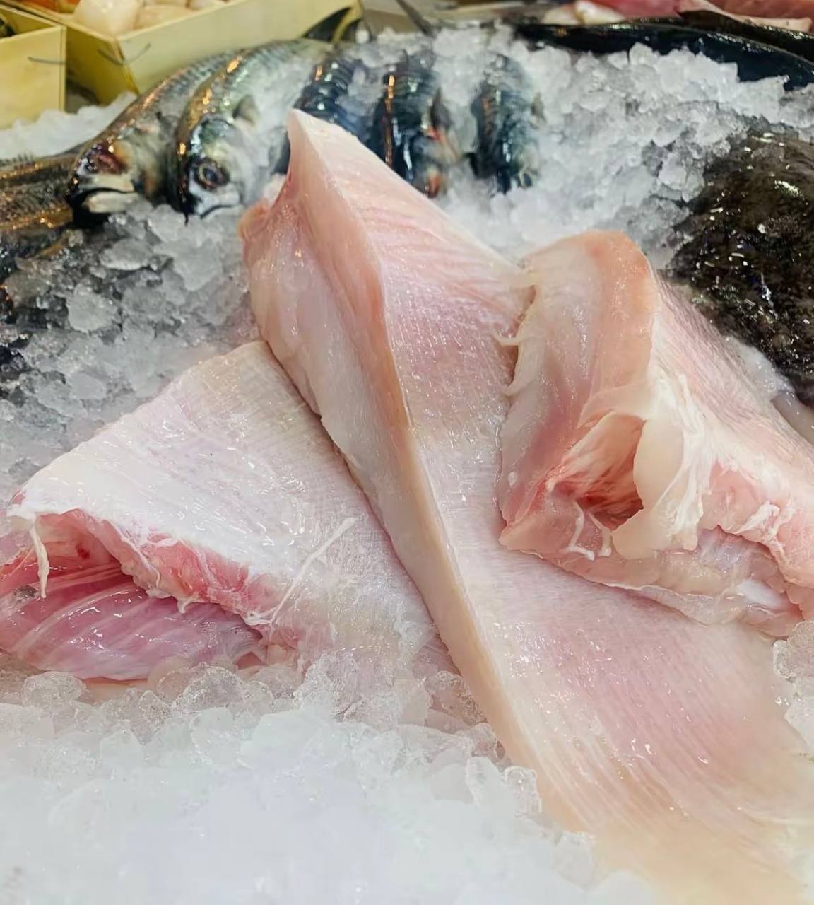 🌊 Deep-Sea Stingray Wings(Premium Thick-Cut) — The Ultimate "Crunch" Experience in SG!