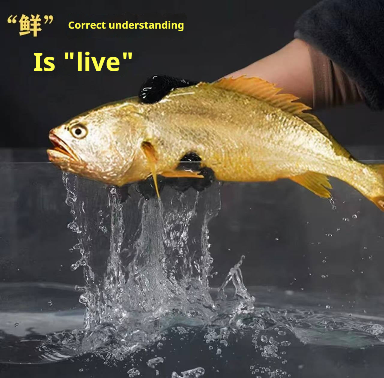 Sea-farmed yellow croaker, delivered live to your door — triple compensation for dead fish!