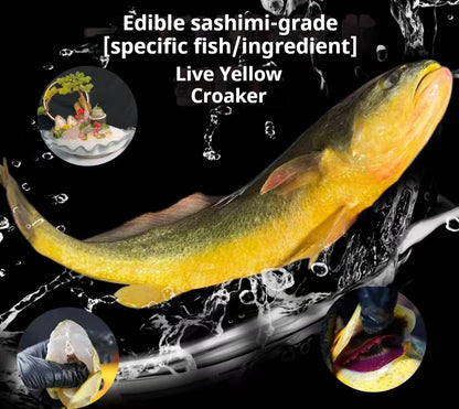 Sea-farmed yellow croaker, delivered live to your door — triple compensation for dead fish!
