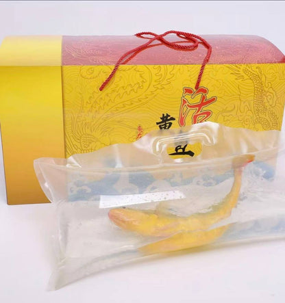 Sea-farmed yellow croaker, delivered live to your door — triple compensation for dead fish!