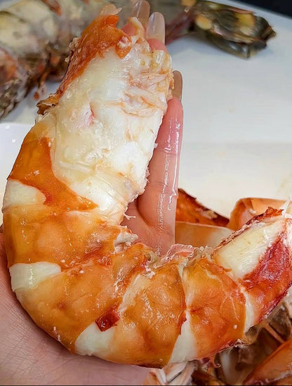Colossal Black Tiger Prawns